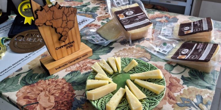 Queijo Serrano Artesanal produzido em Cazuza Ferreira (RS): tradição e reconhecimento nacional