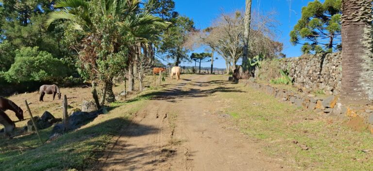 Projeto O Turismo é Aqui revela as potencialidades de Painel