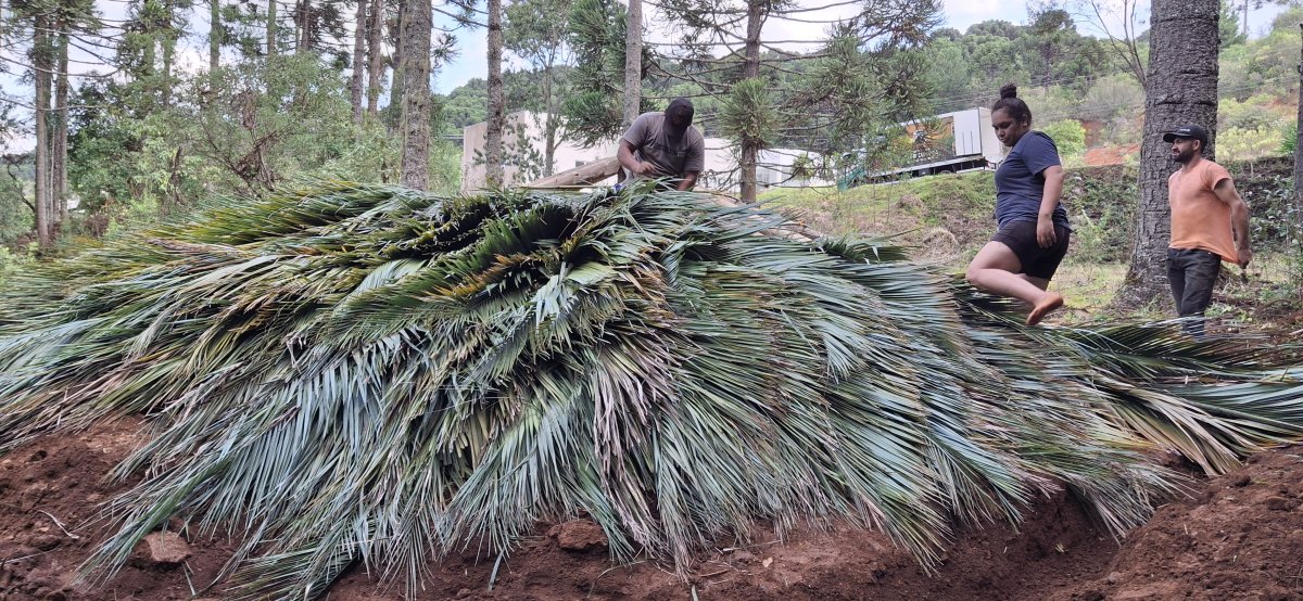 Casa subterrânea será base para o turismo em São José do Cerrito