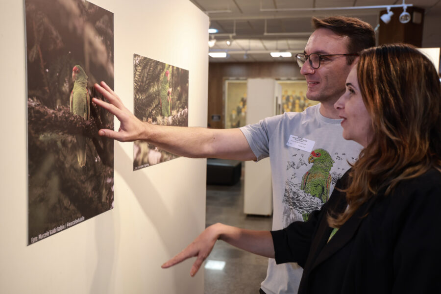 Exposição fotográfica retrata espetáculo único da natureza da Serra Catarinense