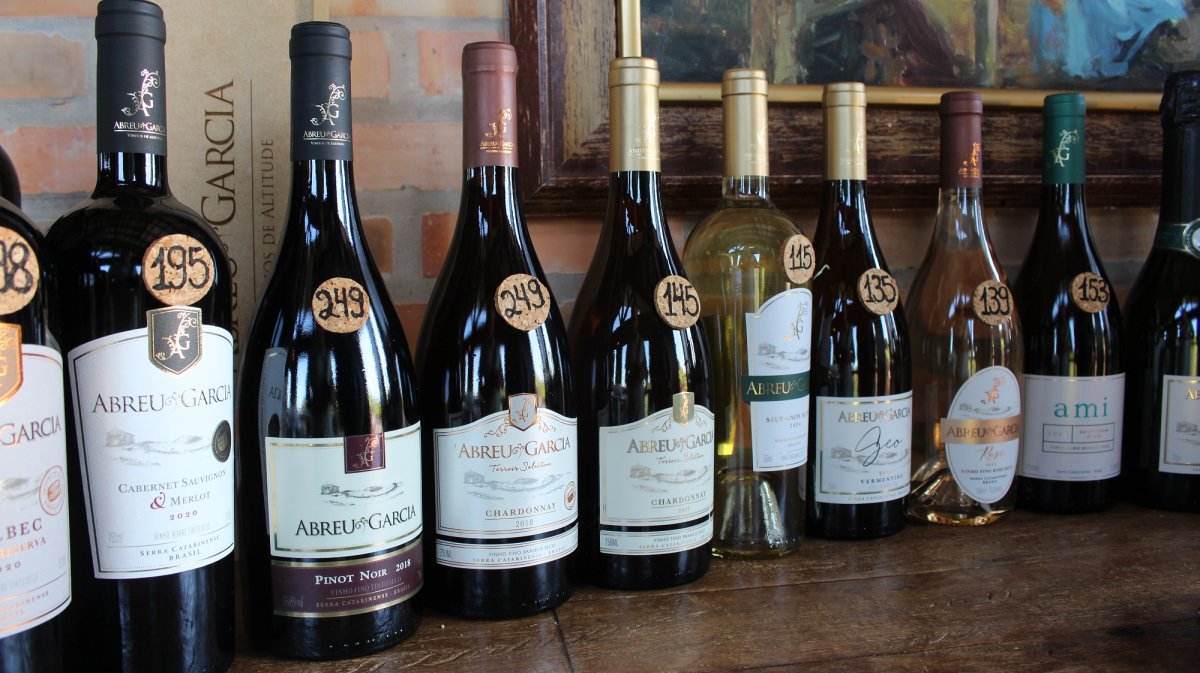 Vinhos de altitude colocam a Serra Catarinense no mapa do enoturismo